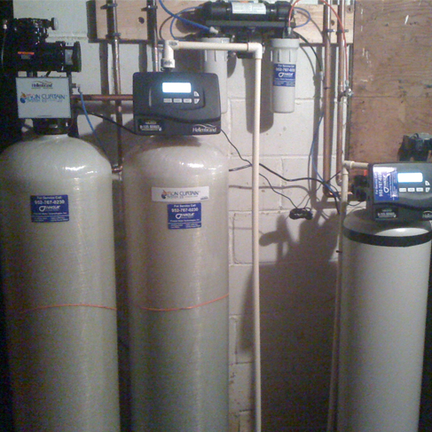 water plant